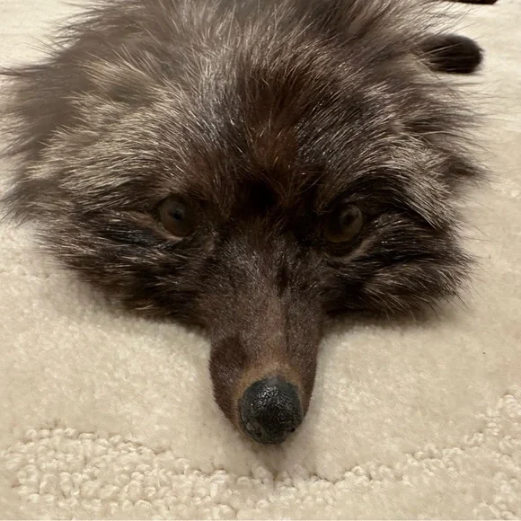 Vintage Fur animal cape/shawl - Picture 1 of 10